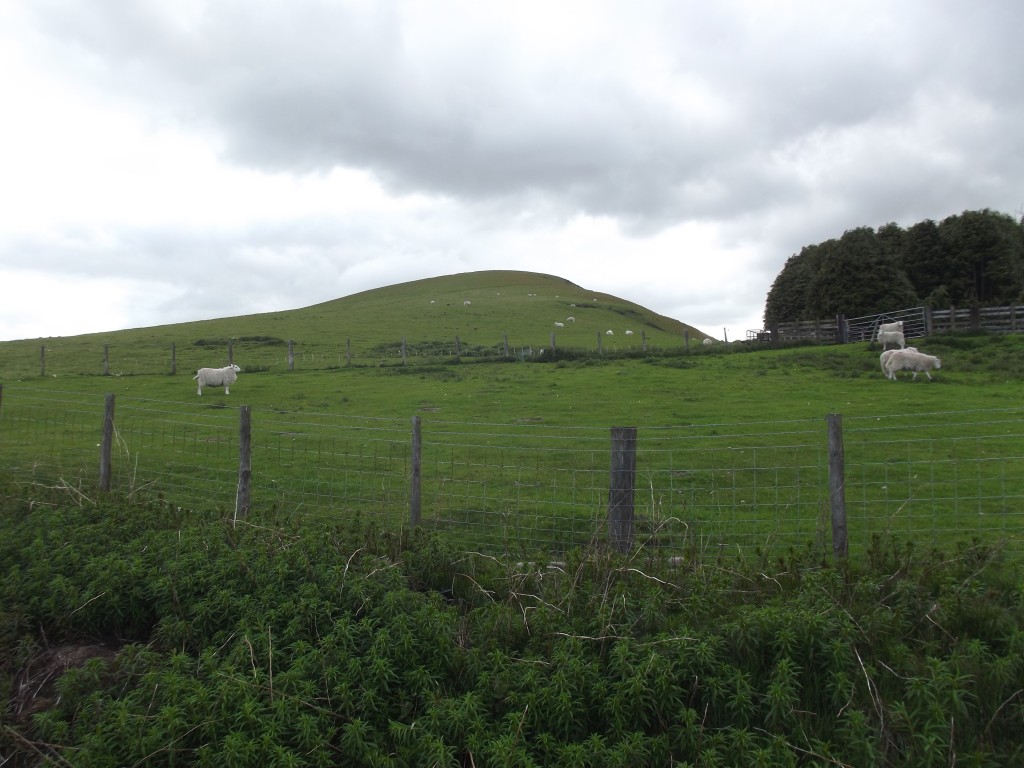 The Whimble, one of the Radnor Forest's most recognisable hills is sadly all fenced off and inaccessible.