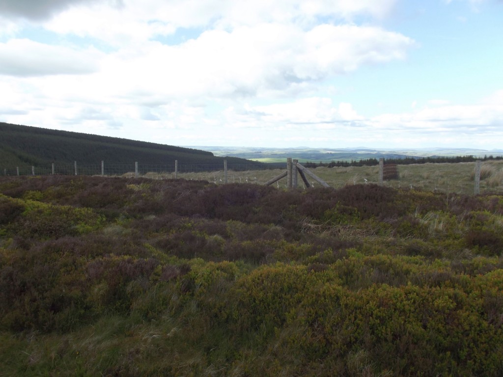 Up the top of the mountains is this huge plateau of heathland about 600 m above sea level.