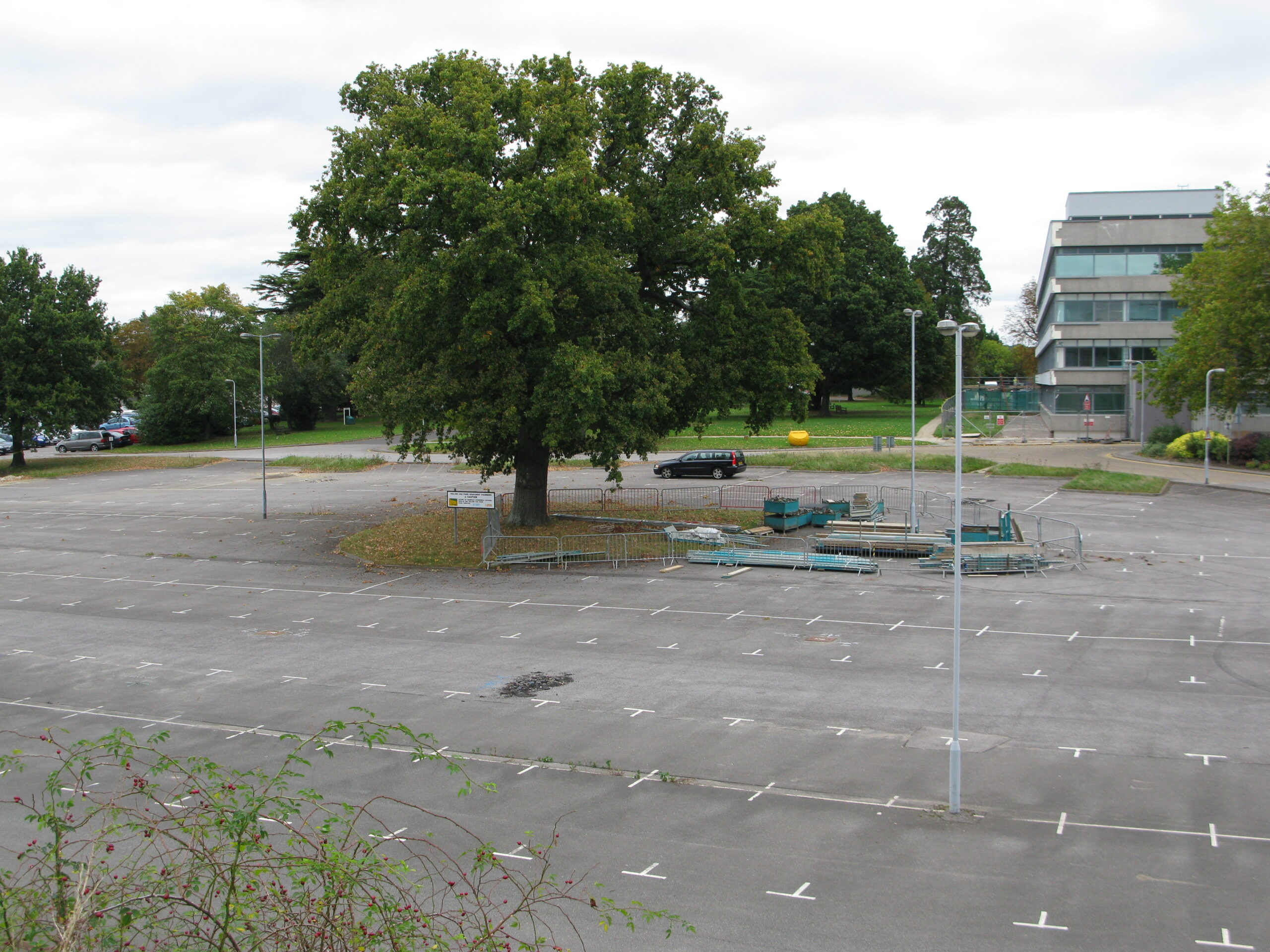 Deserted Yellow car park and retained tree, 5 Oct 2011