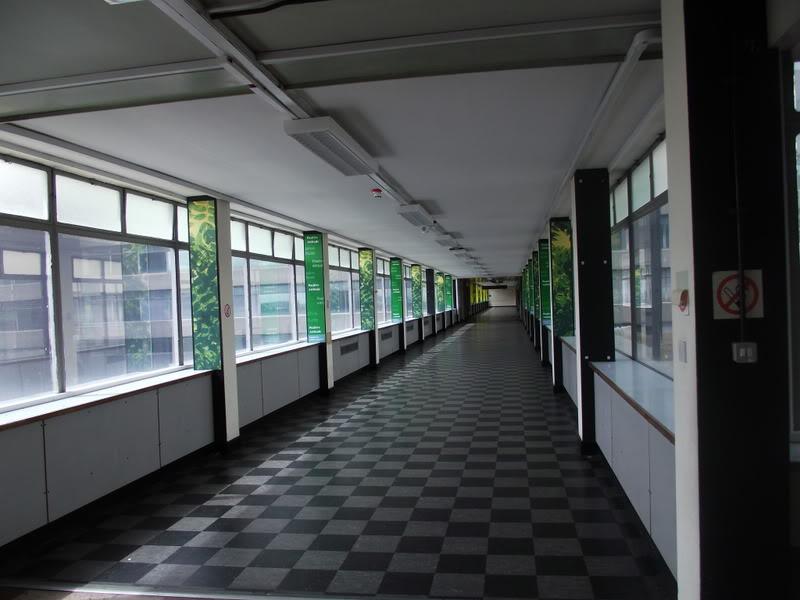 3rd floor corridor, 16 Jul 2011