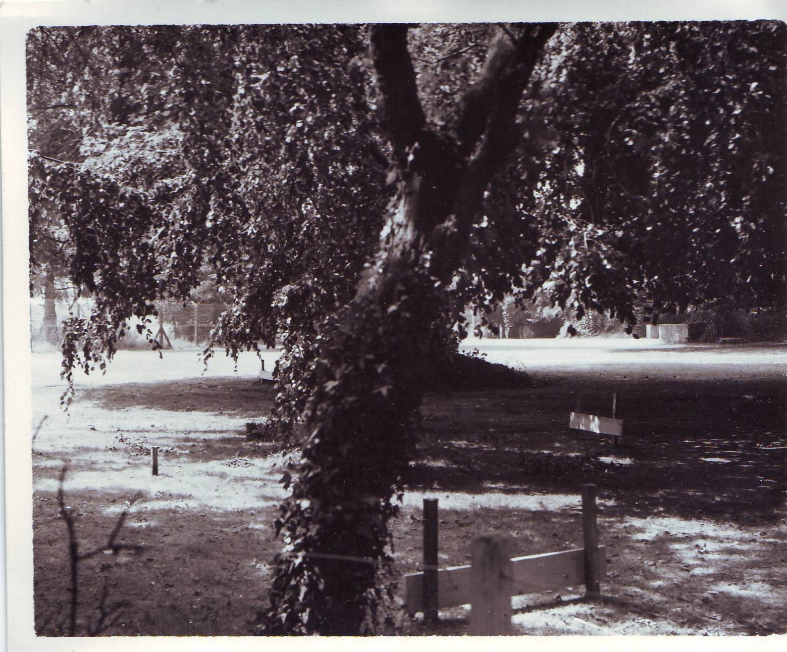 22 July 1967: lawn near Crabwood House.