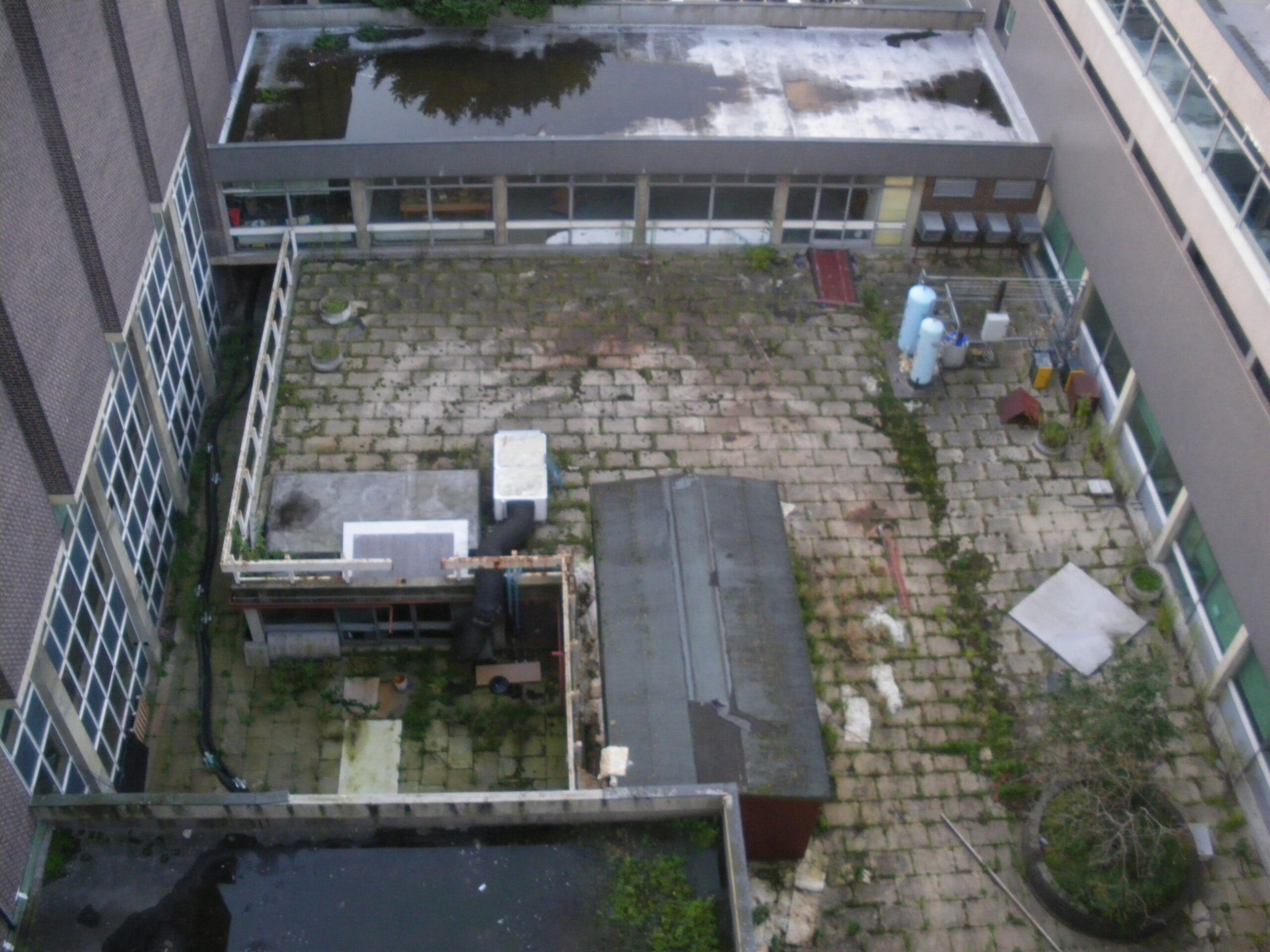 Facing Boiler House courtyard from F core penthouse roof, 13 Sep 2011